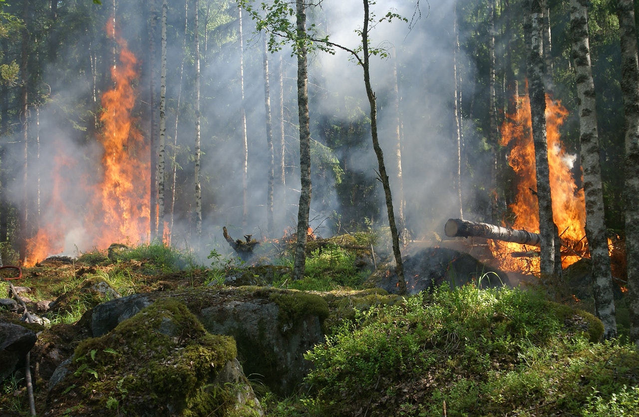 Forest fires 16,000km away affect Singapore