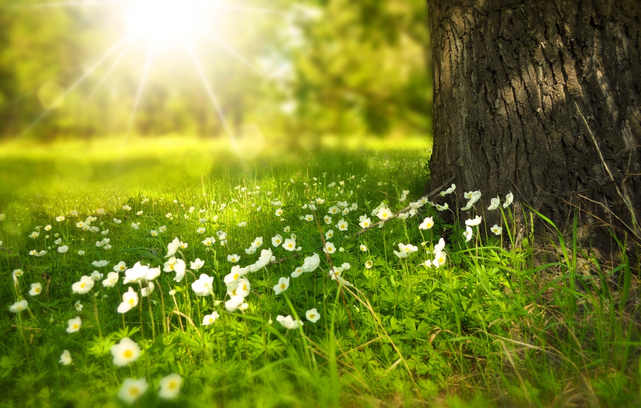 Undying love for nature drives this 75-year-old guide