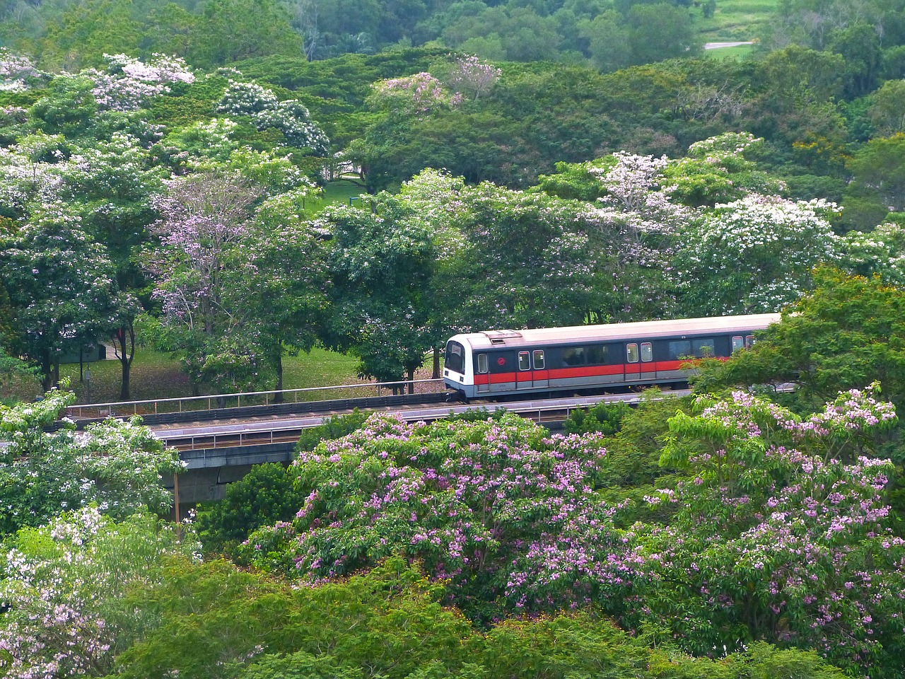 Youth's appreciation for station staff not derailed by train woes