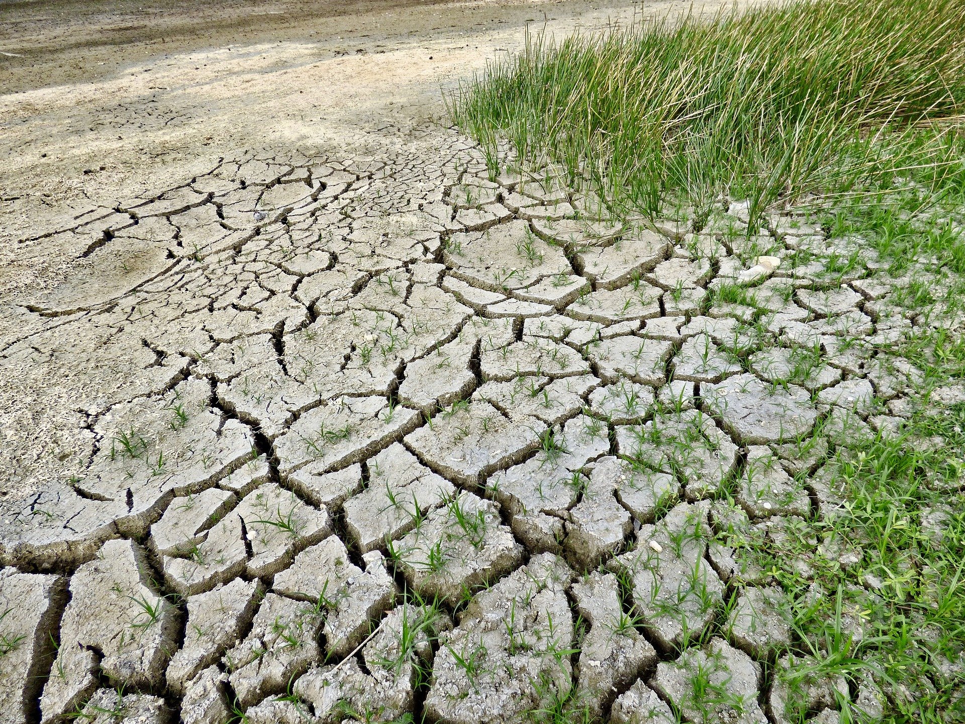 Minister rallies Singapore to rise to existential climate challenge