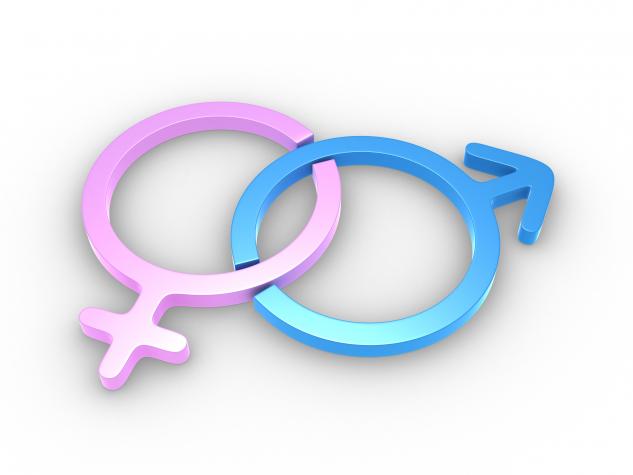 It's official! Men and women want different things in partner It's official! Men and women want different things in partner